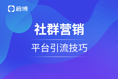 社群营销和平台引流技巧