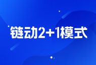 链动 2+1 模式开发